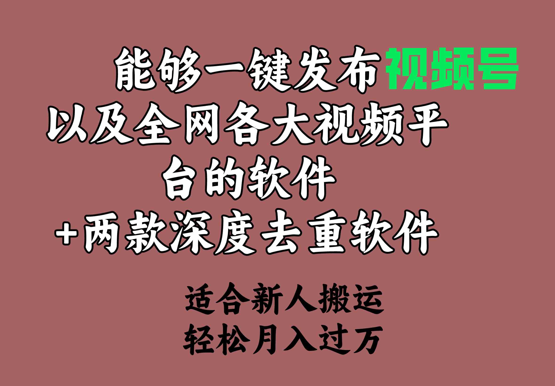 （9319期）能够一键发布视频号以及全网各大视频平台的软件+两款深度去重软件 适合…-搞钱花