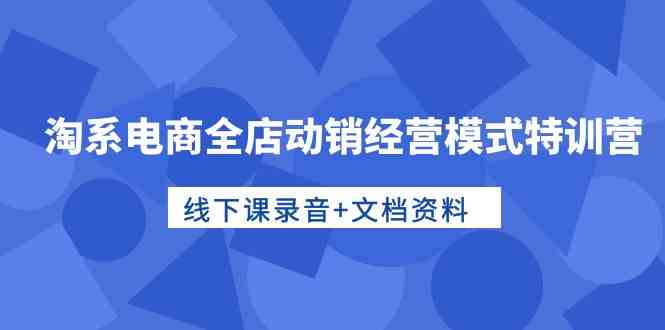 （10192期）淘系电商全店动销经营模式特训营，线下课录音+文档资料-搞钱花