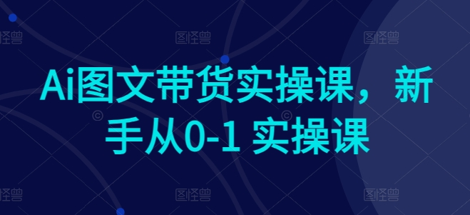 Ai图文带货实操课，新手从0-1 实操课-搞钱花