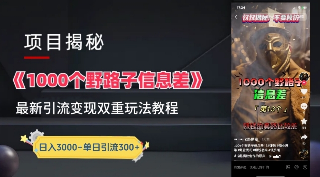 一千个野路子信息差最新玩法教程-变现+引流的玩法具体拆解-搞钱花