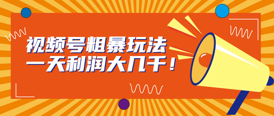 视频号粗暴玩法,一天利润大几千!-搞钱花