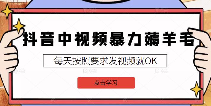 2022抖音中视频暴力薅羊毛白嫖项目：新号每天20块，老号几天几百块，可多号￼-搞钱花