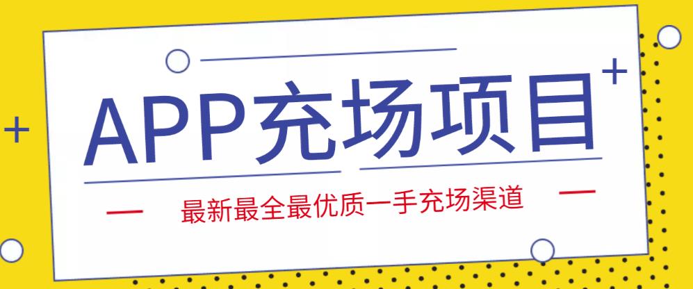 外面收费9800的APP充场项目，实操一天收入800+个人和工作室都可以做-搞钱花