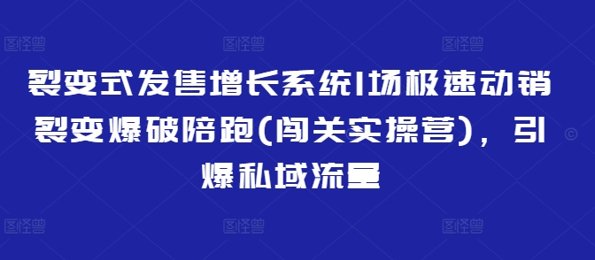 裂变式发售增长系统1场极速动销裂变爆破陪跑(闯关实操营)，引爆私域流量-搞钱花