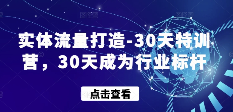 实体流量打造-30天特训营，30天成为行业标杆-搞钱花