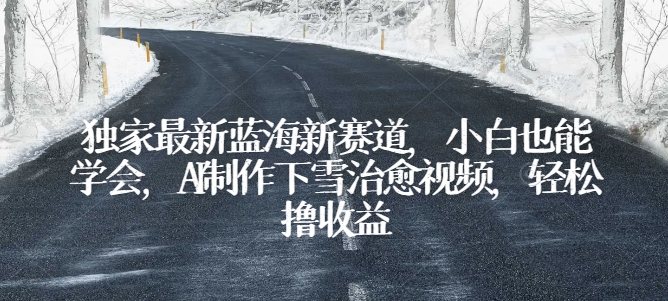 独家最新蓝海新赛道，小白也能学会，AI制作下雪治愈视频，轻松撸收益-搞钱花
